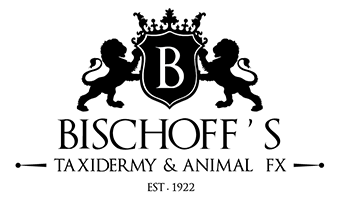Bischoff's Animals